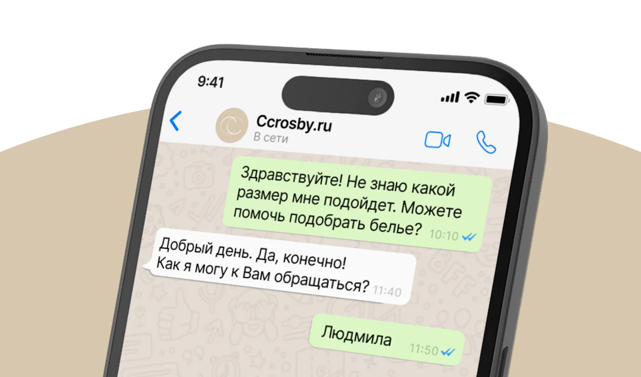 Сопровождение брафиттера